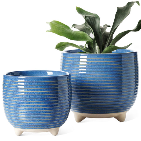 LE TAUCI maceta frontal azul mostrando diseño y estética