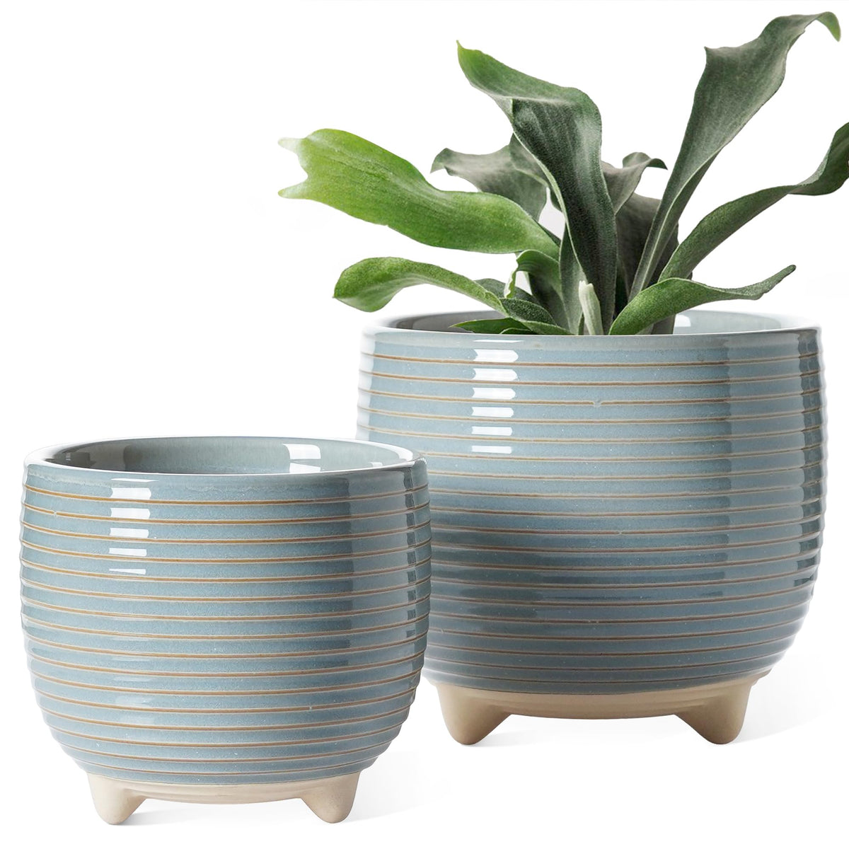 LE TAUCI maceta frontal con base elegante y estabilidad