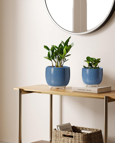 LE TAUCI macetas con plantas en mesa aportando estilo al hogar