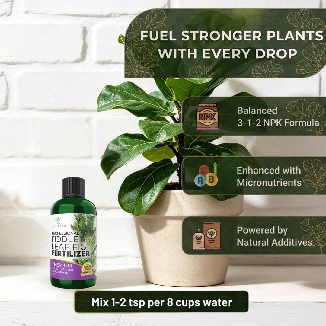 Leaves & Soul envase 8 oz junto a regla para comparar tamaño práctico