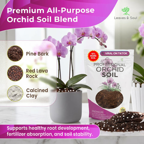 Leaves and Soul corteza y lava mezcladas para mejor oxigenación