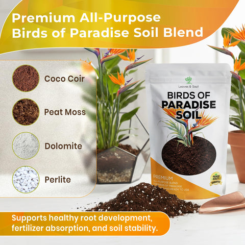Leaves and Soul mezcla en maceta de Bird of Paradise promoviendo enraizamiento