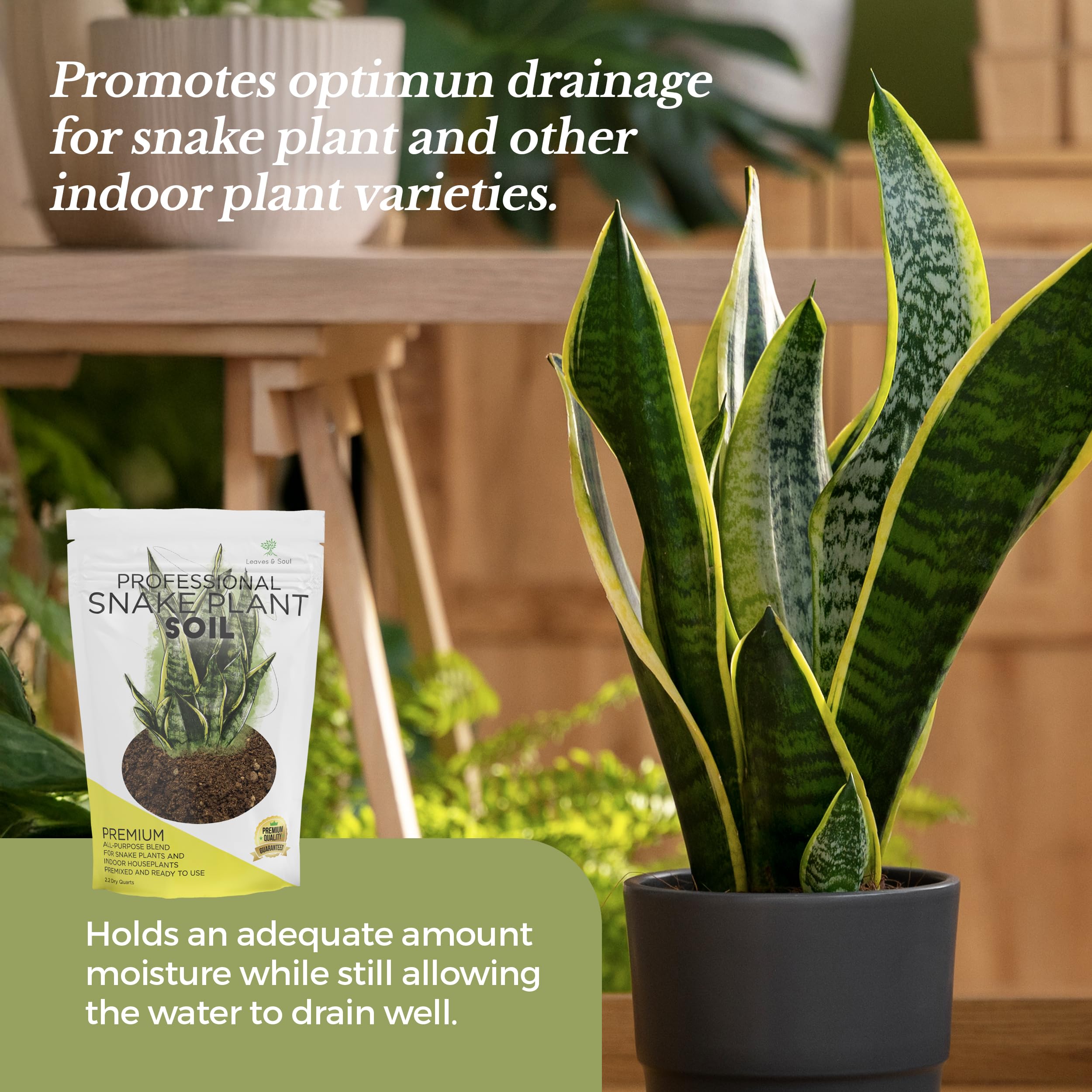 Leaves and Soul etiqueta con ingredientes y beneficios claros para elegir con seguridad