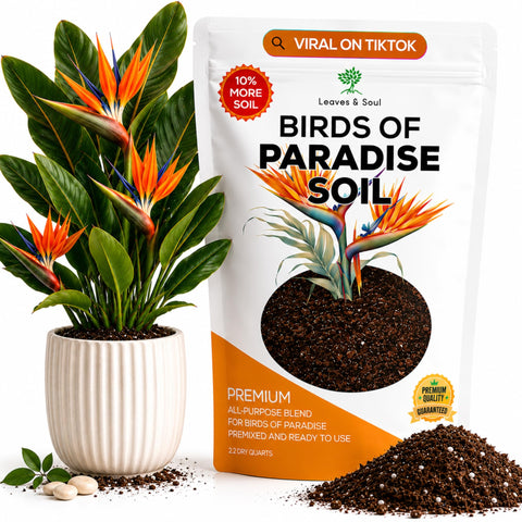 Leaves and Soul frente del paquete mostrando 2.2 qt y diseño resistente