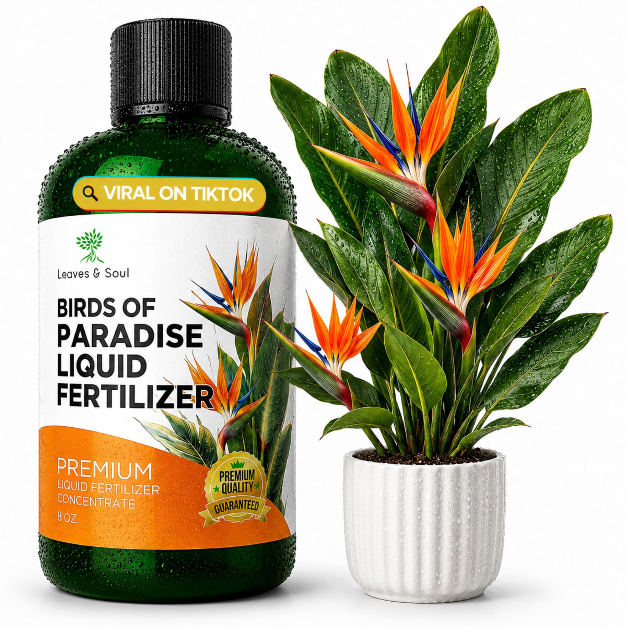 Leaves & Soul botella frontal mostrando fertilizante líquido y beneficio nutricional
