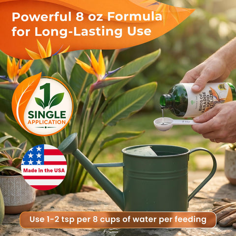 Leaves & Soul frasco de 8 oz junto a regla para comparar tamaño y capacidad