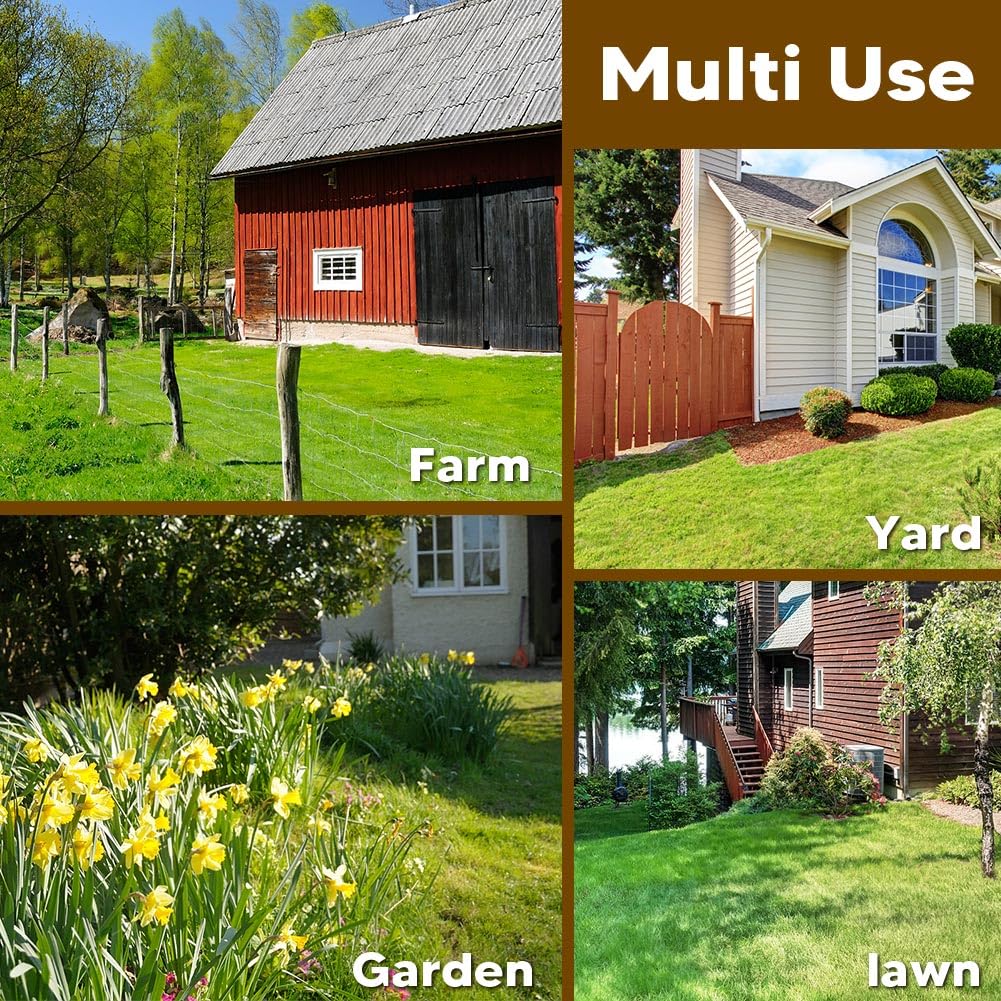 LEBMP diagrama de penetración en zona radicular para mayor alcance