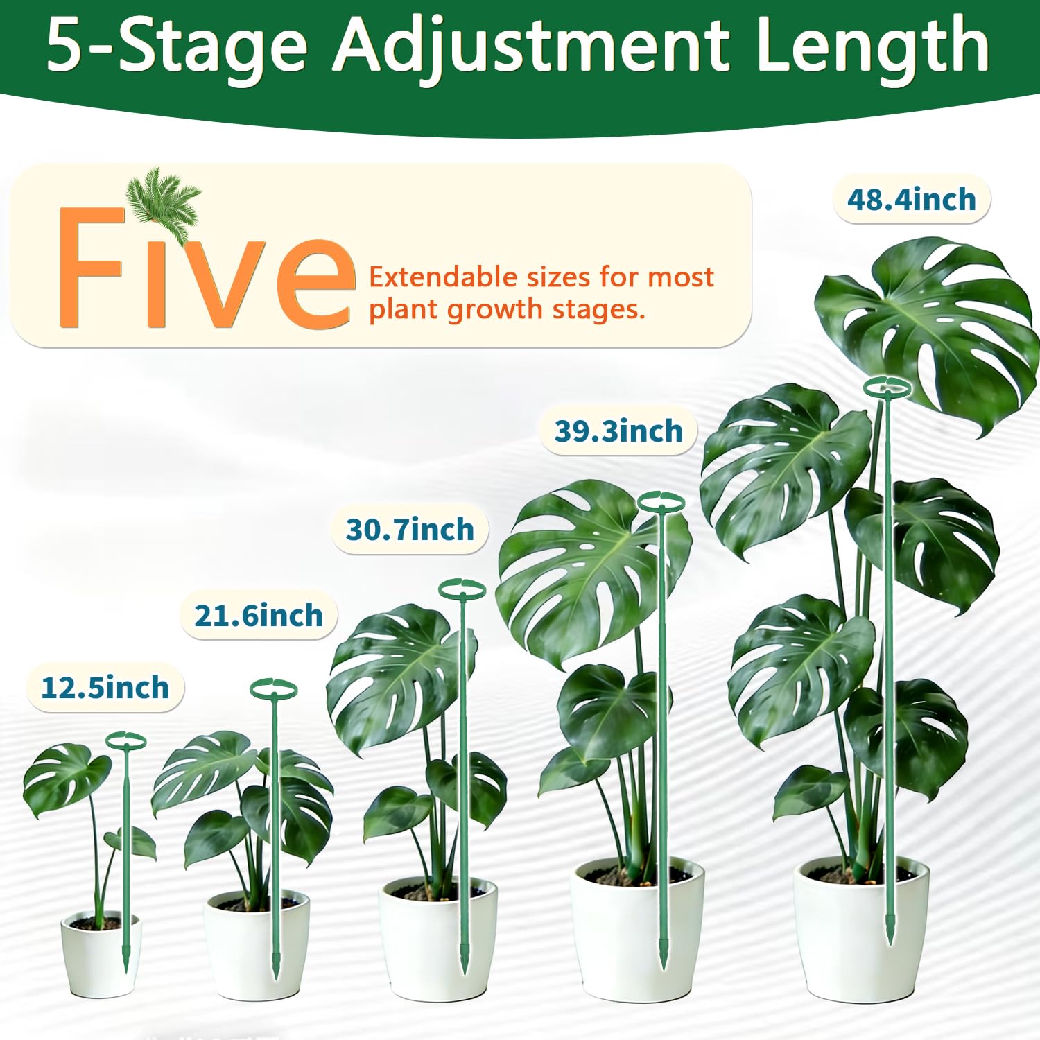 LECAMEBOR estaca insertada en maceta con monstera para soporte estable
