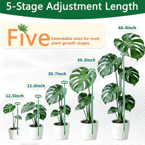 LECAMEBOR estaca insertada en maceta con monstera para soporte estable