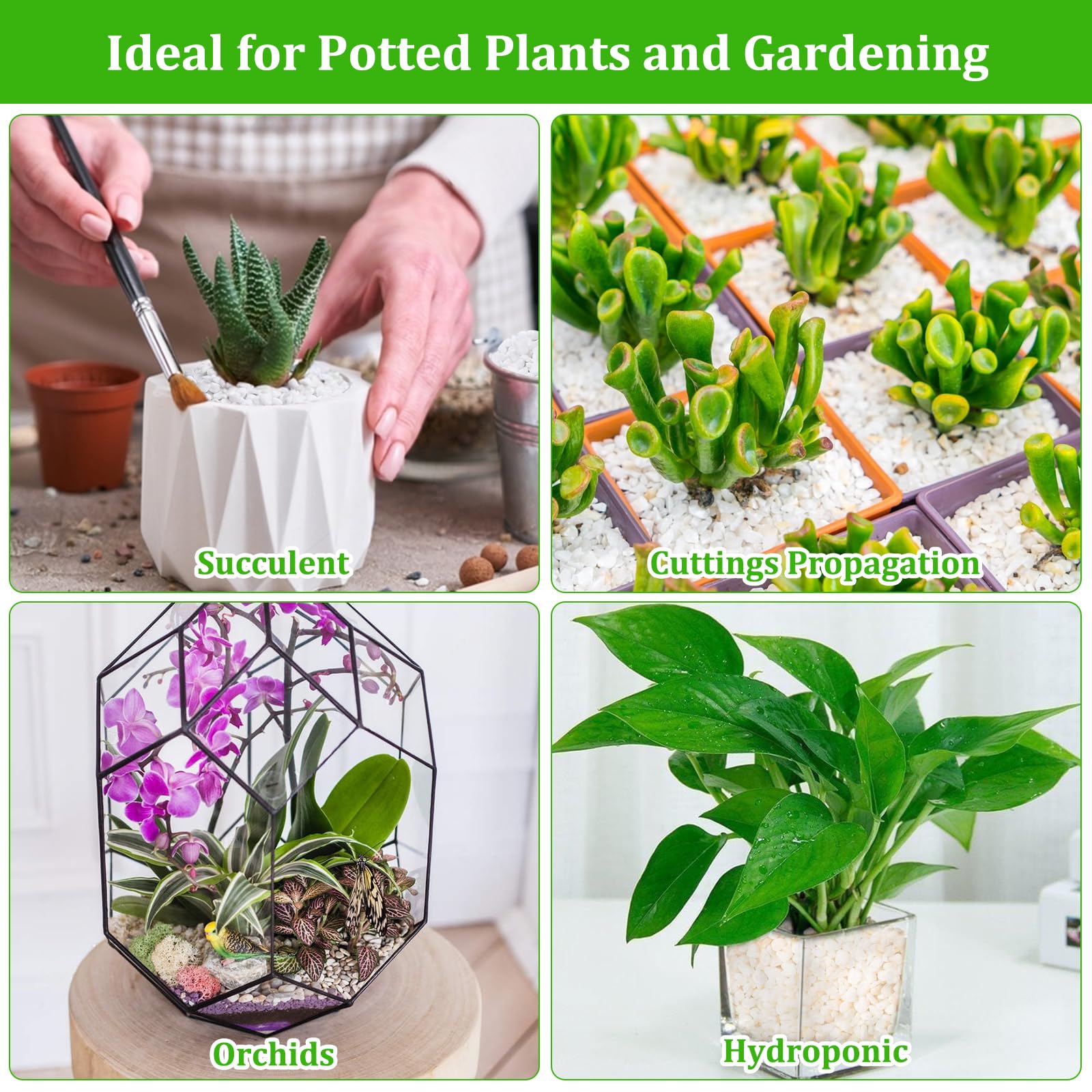 Legigo ambiente interior con plantas en macetas usando perlite para estética