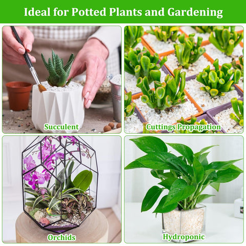 Legigo ambiente interior con plantas en macetas usando perlite para estética