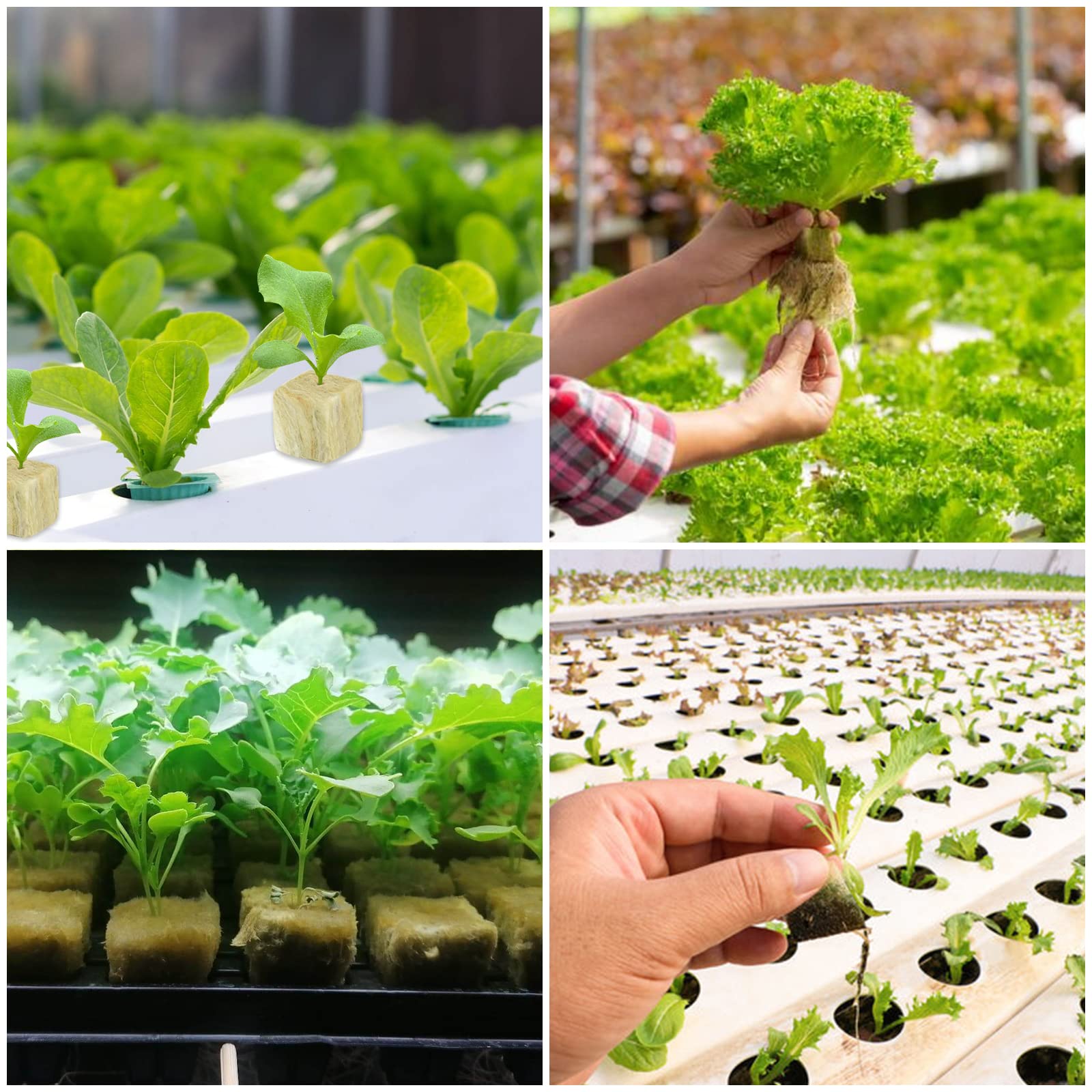 Legigo ambiente de invernadero con cubos para cultivo a gran escala eficiente