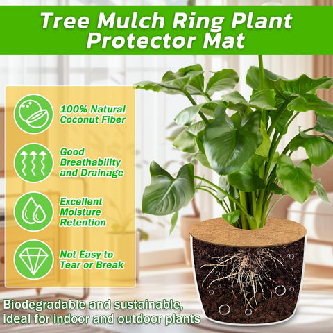 Legigo anillo colocado alrededor de árbol protegiendo el suelo
