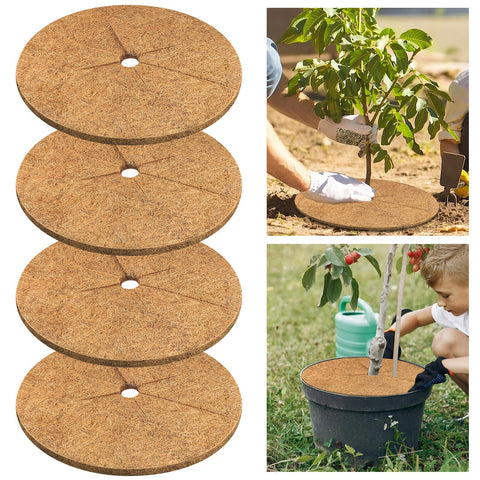 Legigo aro de coco frontal mostrando su forma y beneficio de protección