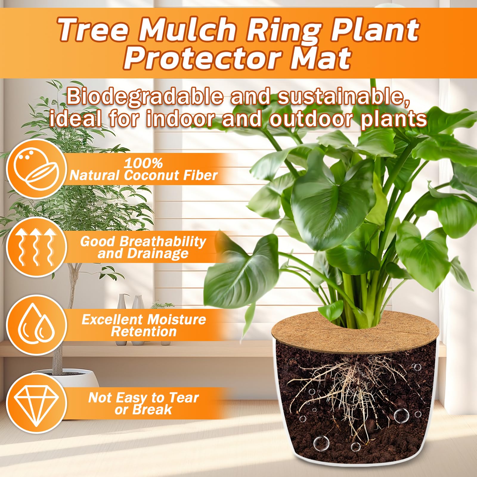 Legigo aro instalado alrededor de un árbol protegiendo raíces y suelo