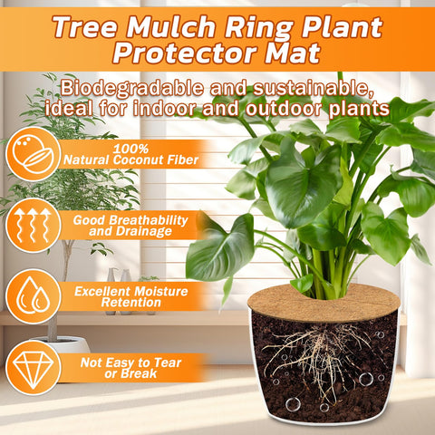 Legigo aro instalado alrededor de un árbol protegiendo raíces y suelo