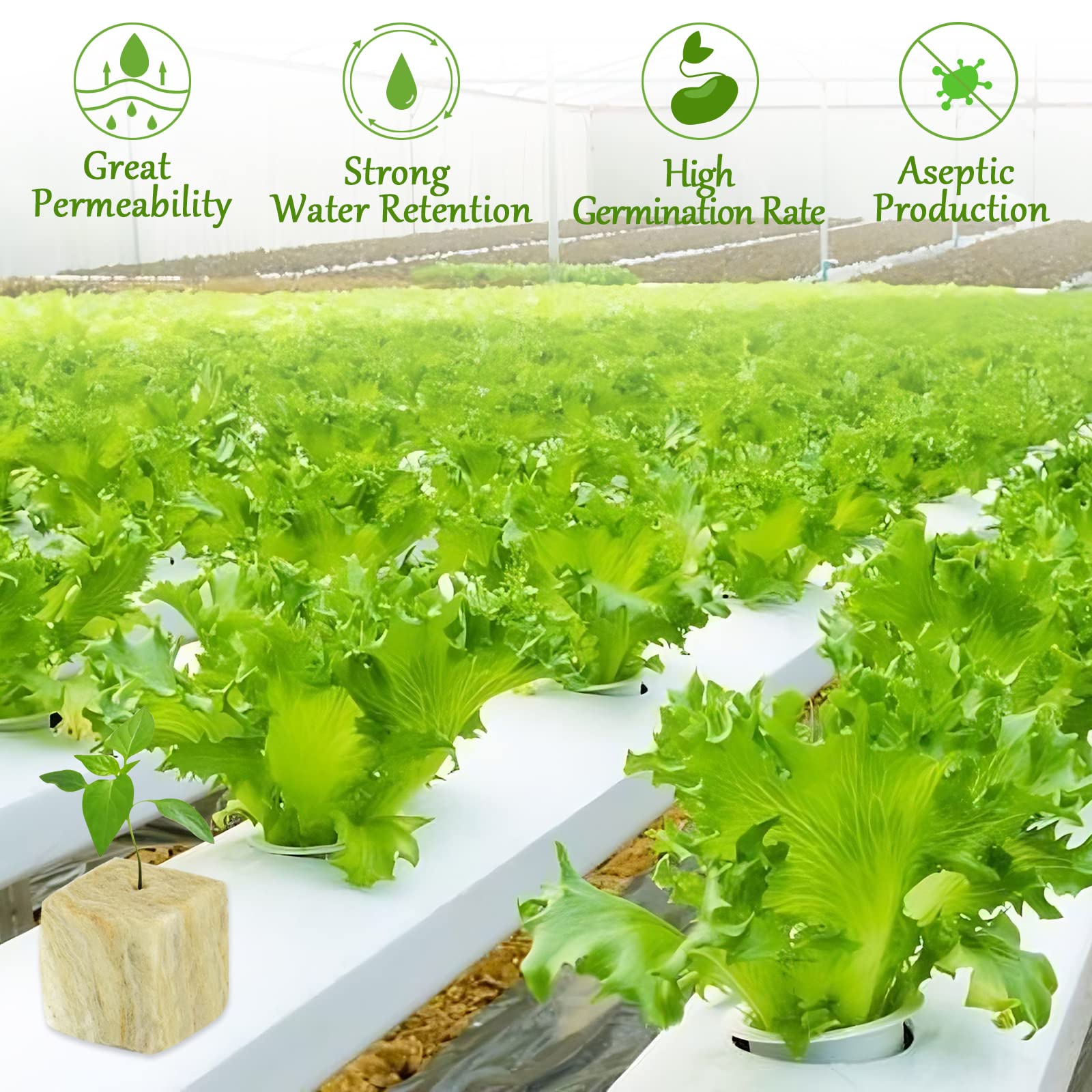 Legigo bandeja con 144 tapones lista para cultivo hidropónico