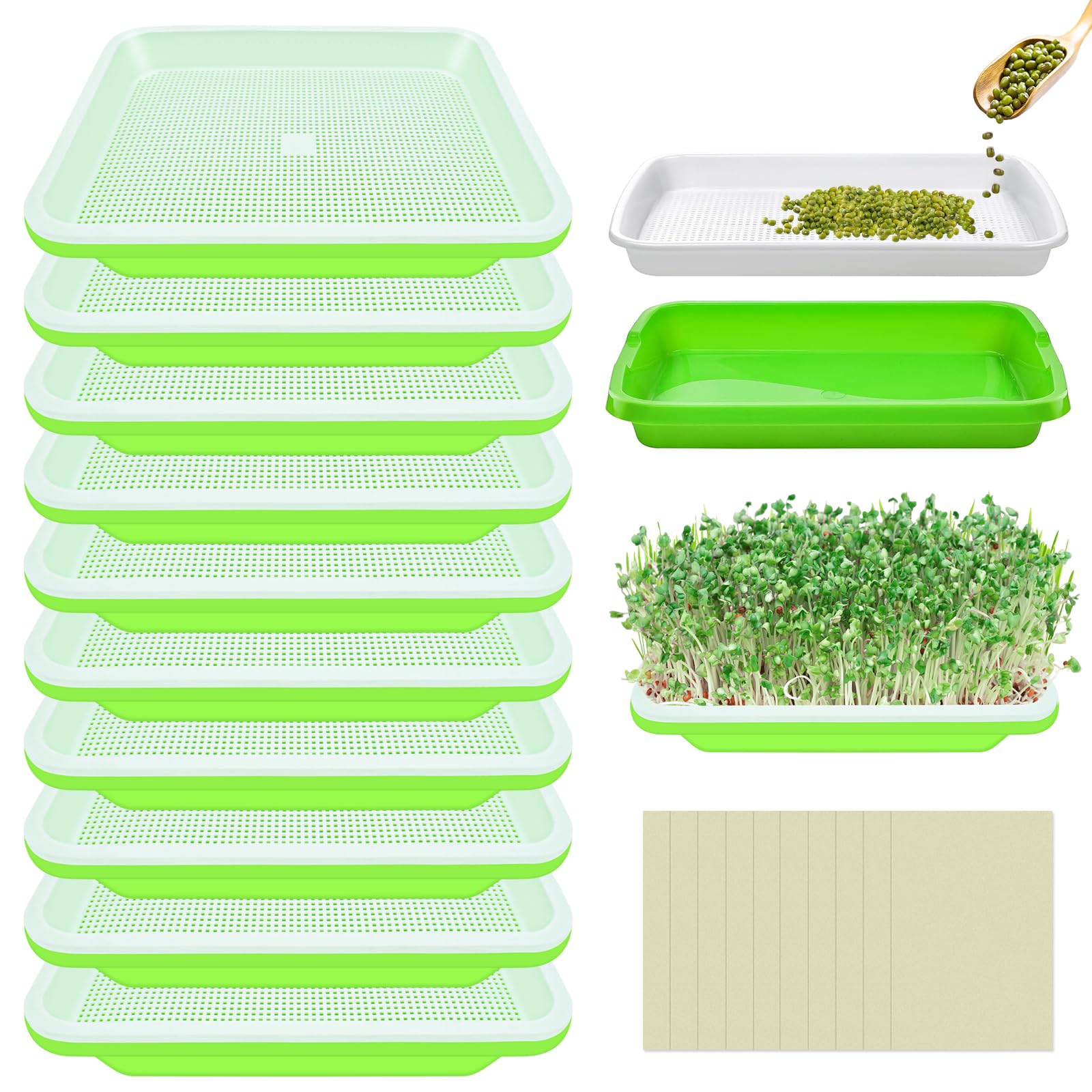 Legigo bandeja frontal pack mostrando 10 unidades y organización práctica