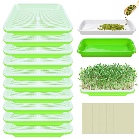 Legigo bandeja frontal pack mostrando 10 unidades y organización práctica