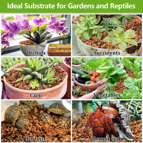 Legigo uso en jardín que aporta estética natural y retención de humedad