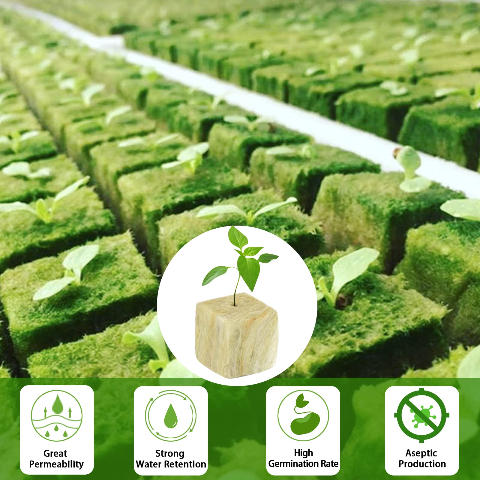 Legigo comparación de tamaño del plug para escala visual