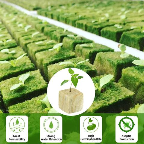 Legigo comparación de tamaño del plug para escala visual