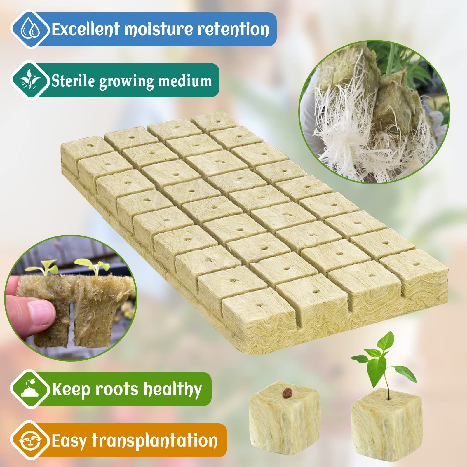 Legigo cubo con semilla plantada demostrando facilidad de germinación