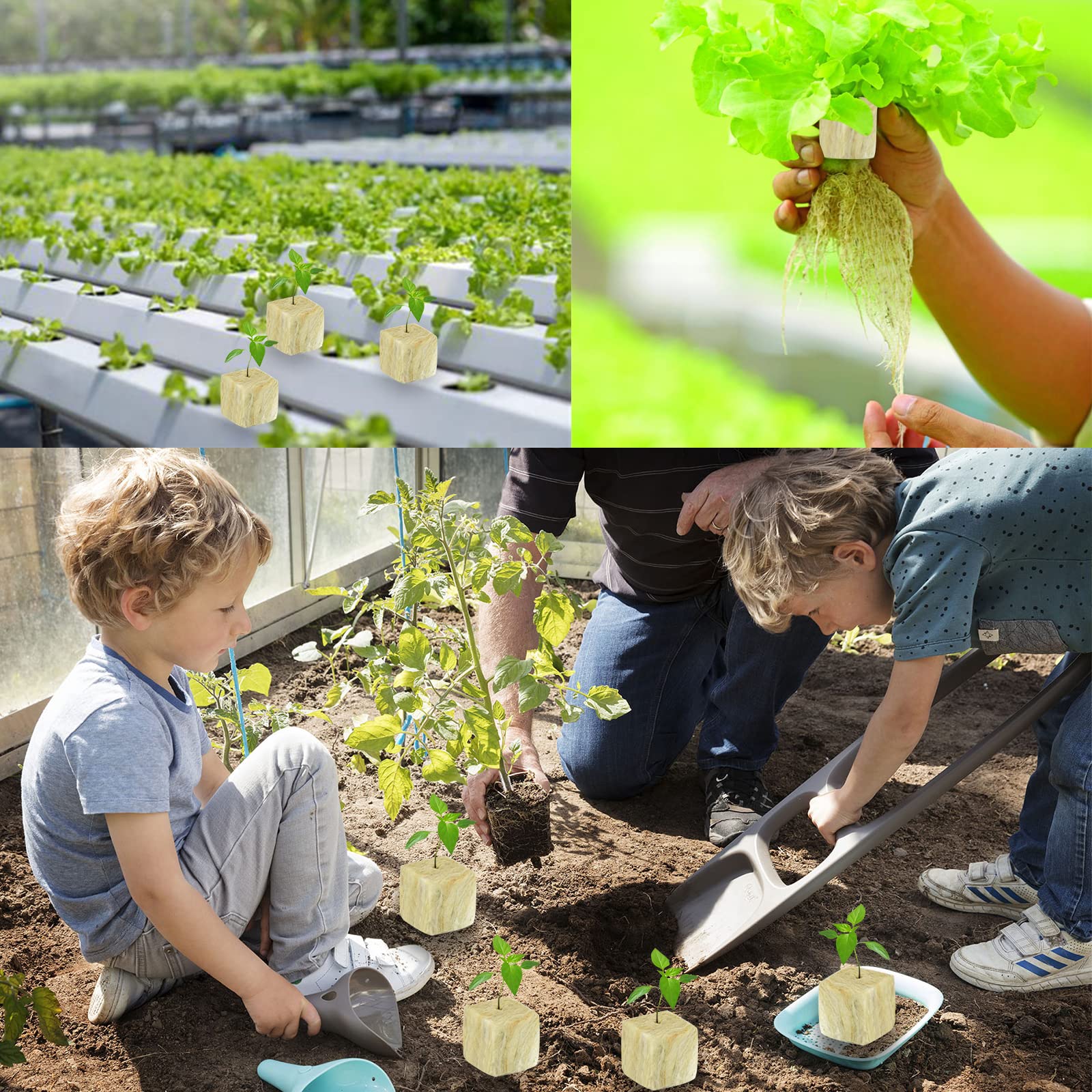Legigo semillero en interior con luz, optimiza germinación