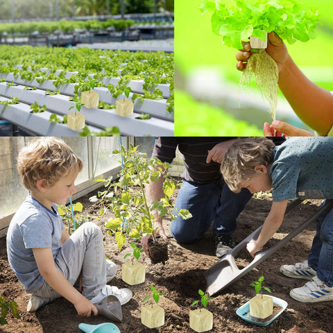 Legigo semillero en interior con luz, optimiza germinación