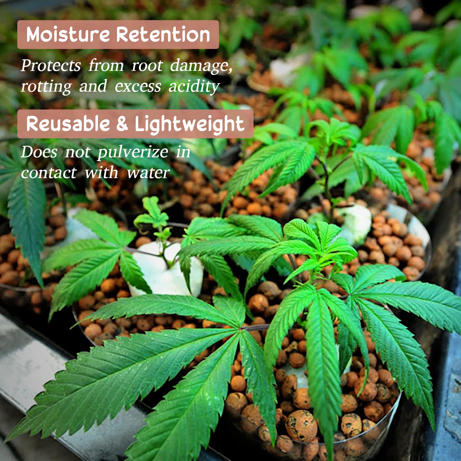 Legigo como capa de drenaje en maceta previniendo encharcamientos y pudrición