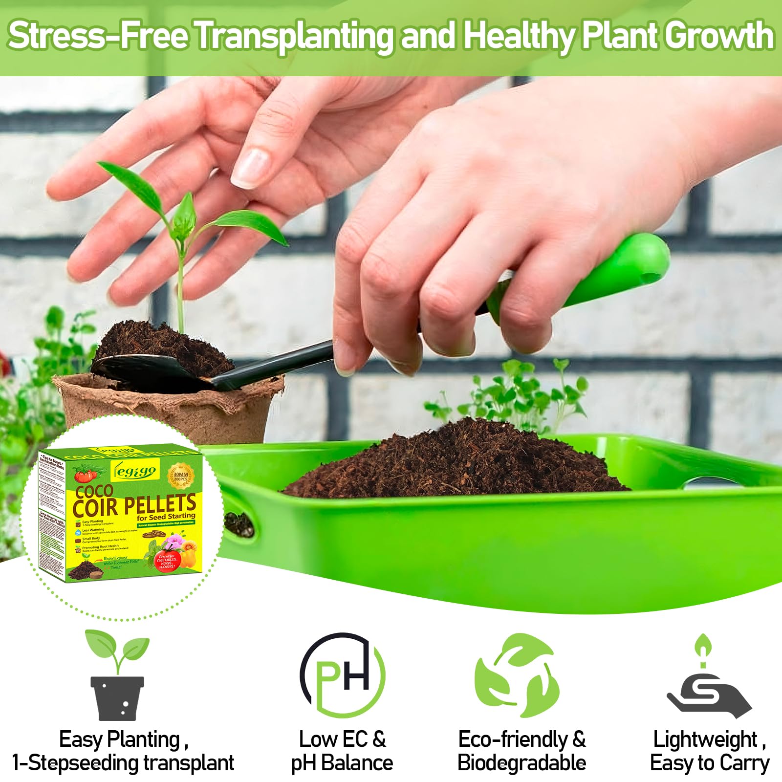 Legigo pellets en bandeja de semillas para germinación ordenada