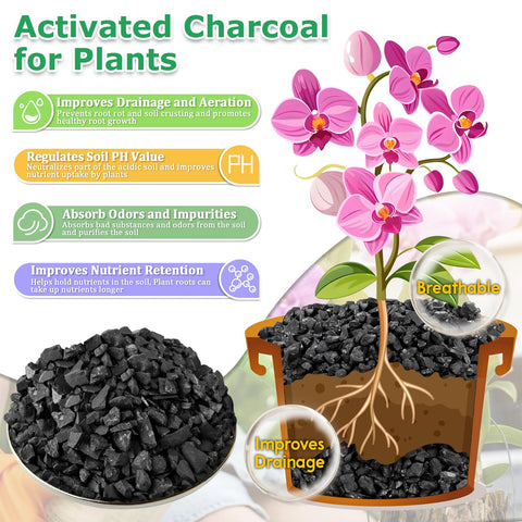 Legigo carbón mezclado en maceta de orquídea para raíces más sanas