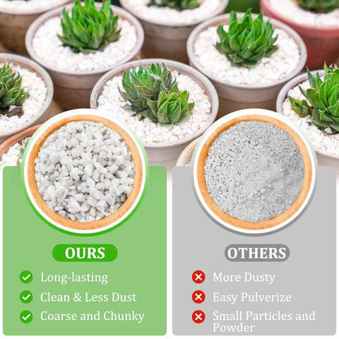 Legigo perlite mezclado en maceta mejorando drenaje y crecimiento visible