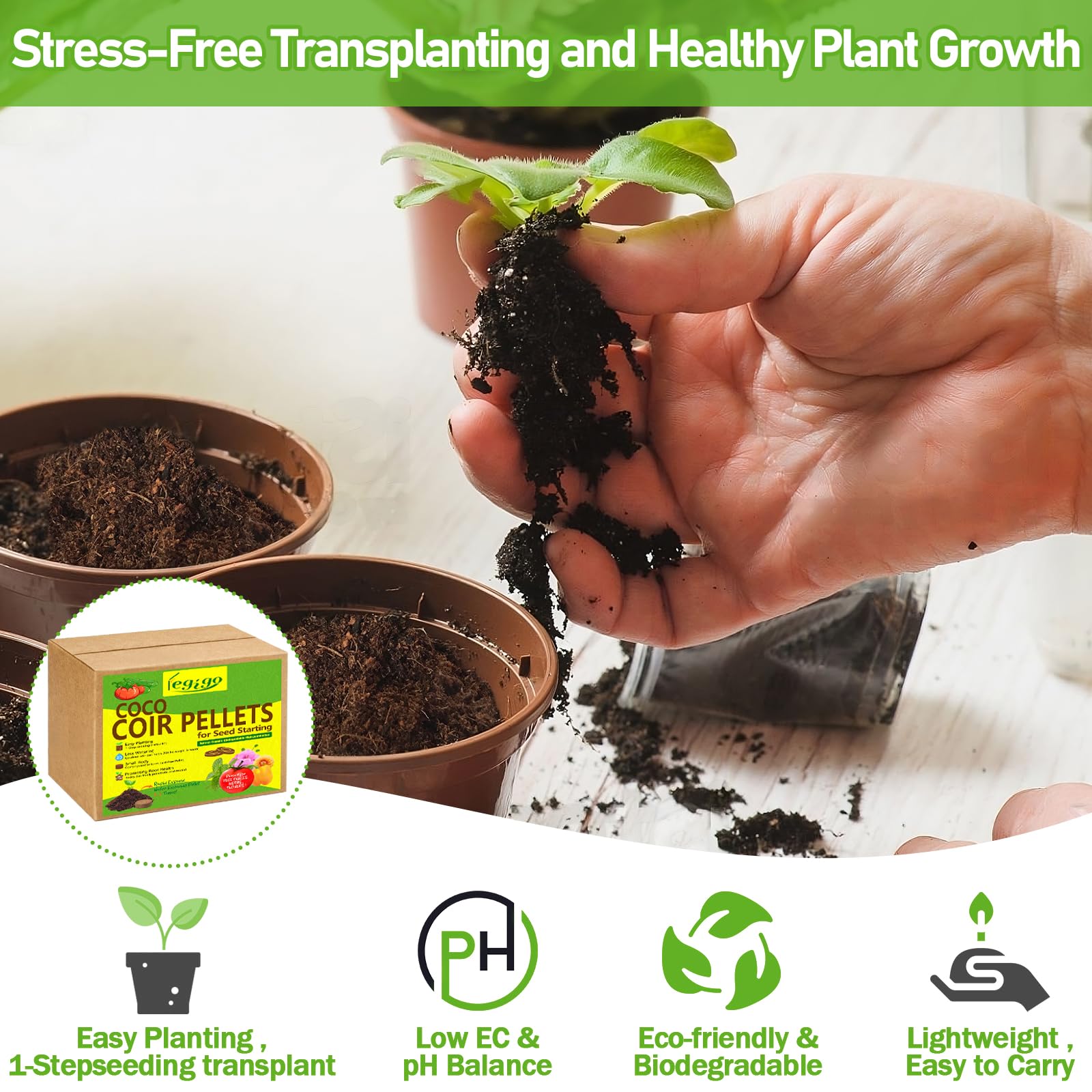 Legigo cápsula en uso con semilla plantada, facilita germinación