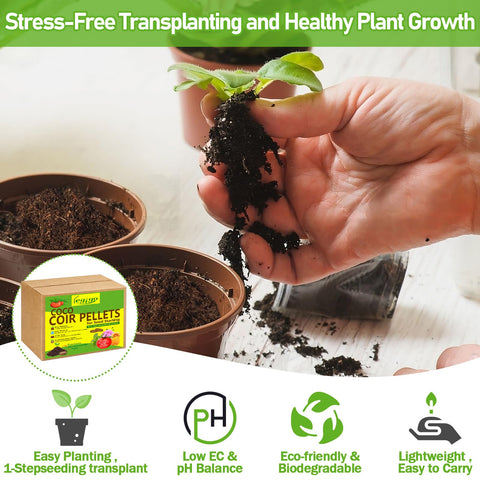 Legigo cápsula en uso con semilla plantada, facilita germinación