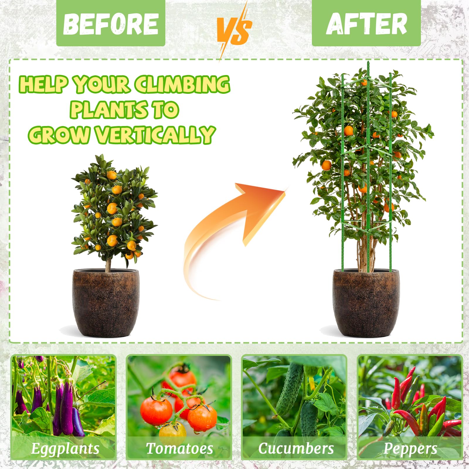 Legigo en uso con planta de tomate, soporte vertical y orden
