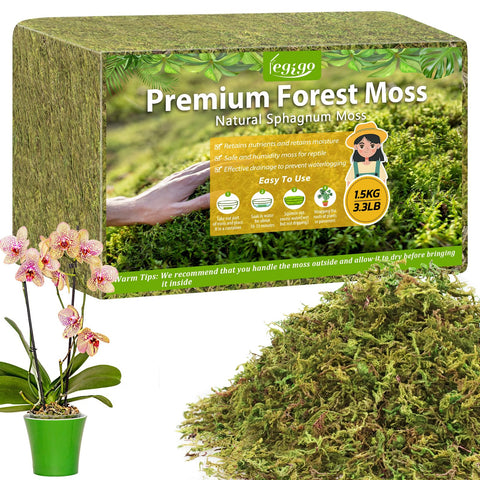 Legigo empaque frontal del musgo mostrando peso y aspecto verde, práctico para almacenamiento