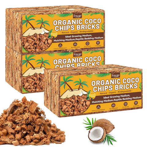 Legigo empaque frontal de coco chips mostrando presentación y beneficio práctico