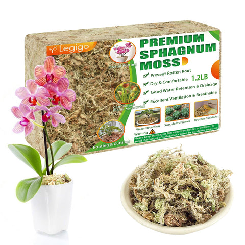 Legigo paquete frontal de musgo sphagnum mostrando cantidad y presentación útil