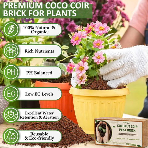 Legigo ladrillo comprimido de fibra de coco con textura para almacenamiento compacto