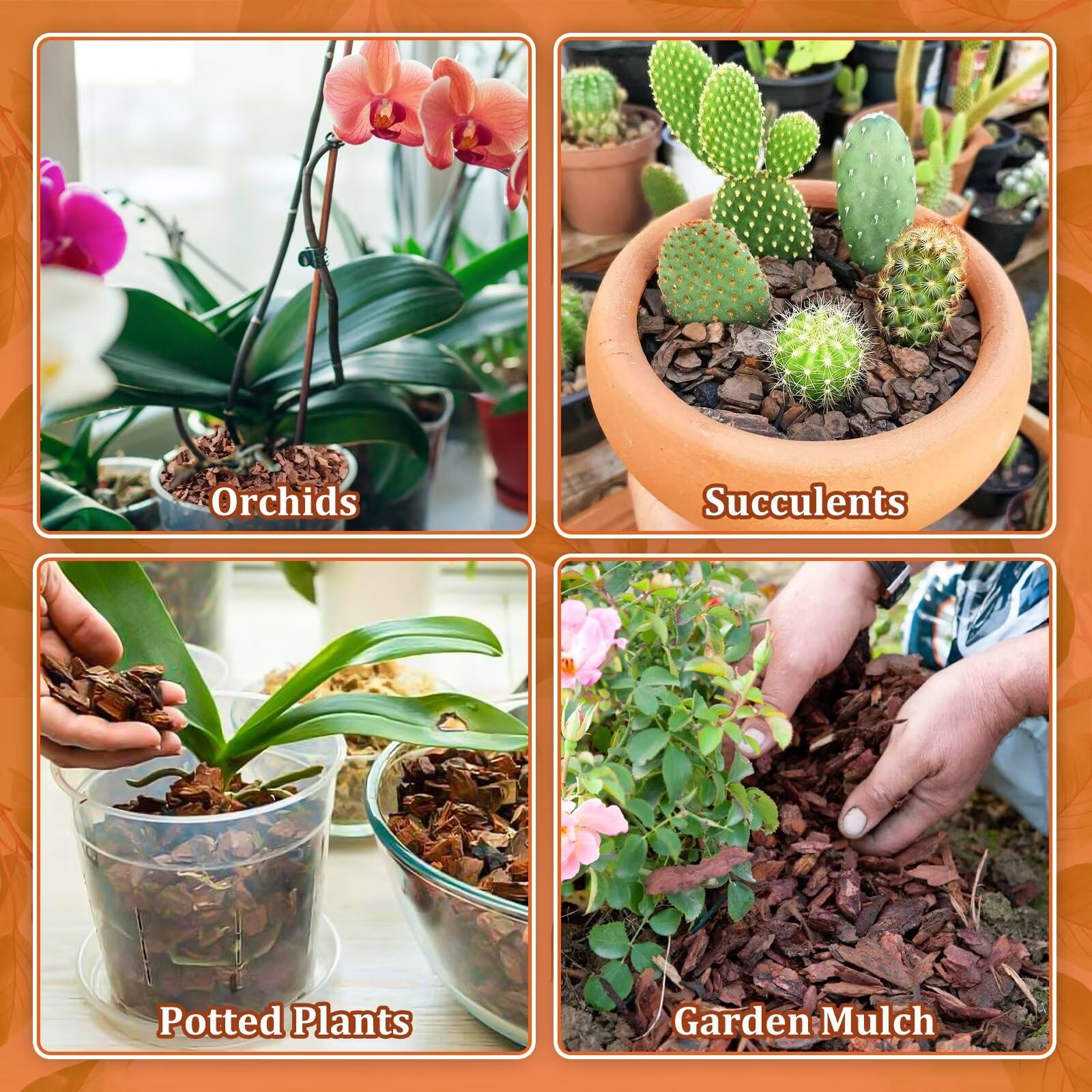 Legigo sustrato en maceta con orquídea ilustrando ambiente saludable
