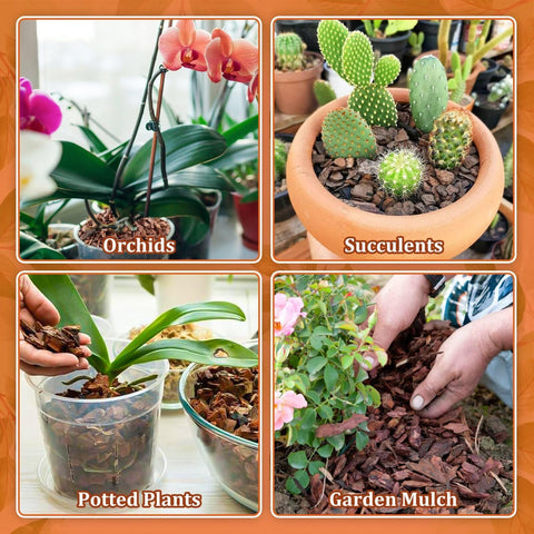 Legigo sustrato en maceta con orquídea ilustrando ambiente saludable