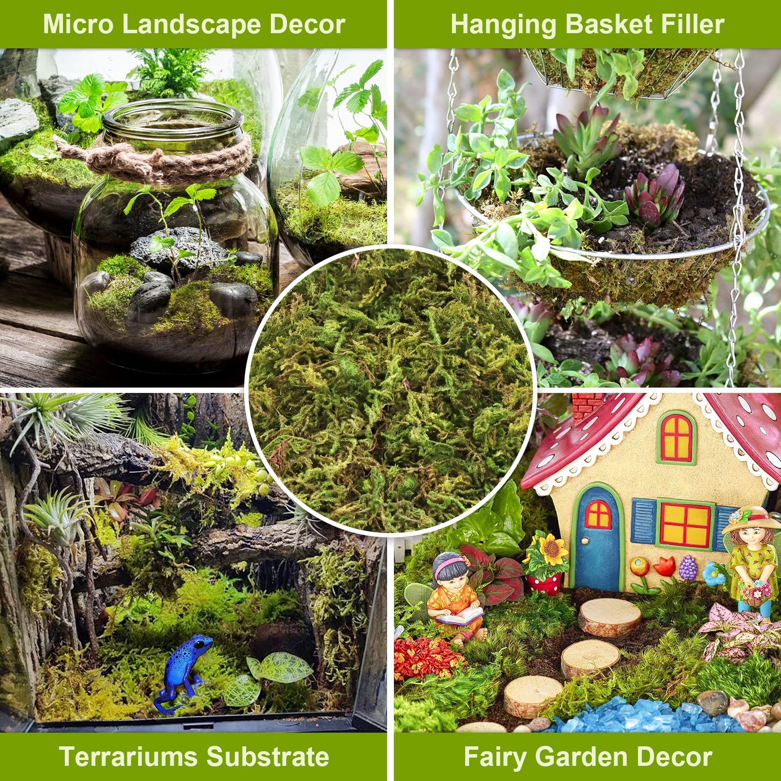 Legigo musgo en terrario reptil, crea cama húmeda y cómoda