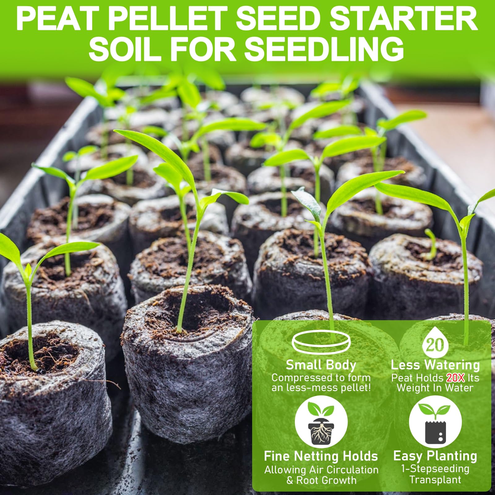 Legigo pellets colocados en bandeja 10x20 listos para germinar, organización eficiente
