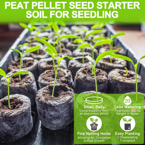 Legigo pellets colocados en bandeja 10x20 listos para germinar, organización eficiente