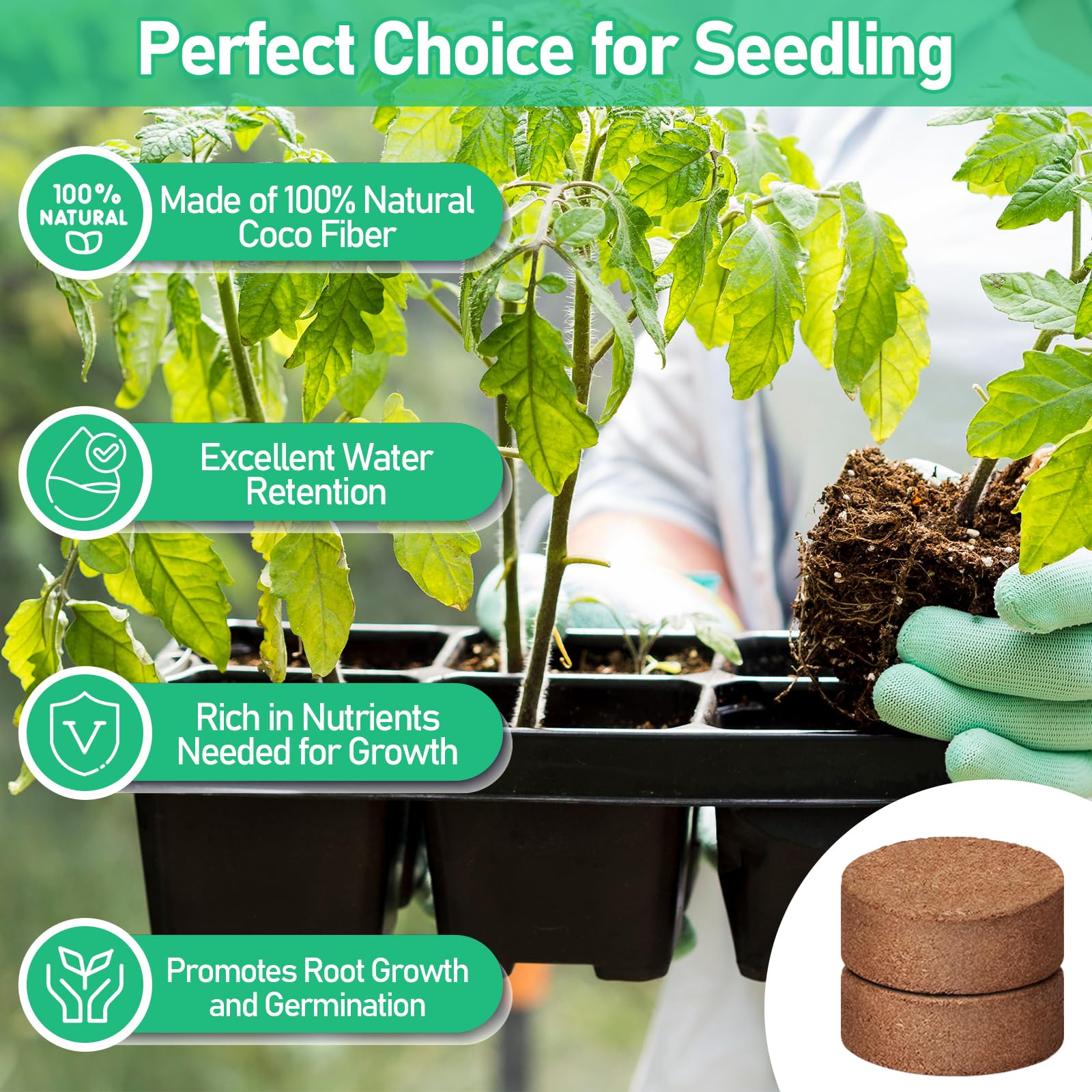 Legigo pellets en bandeja listos para germinar y facilitar siembra