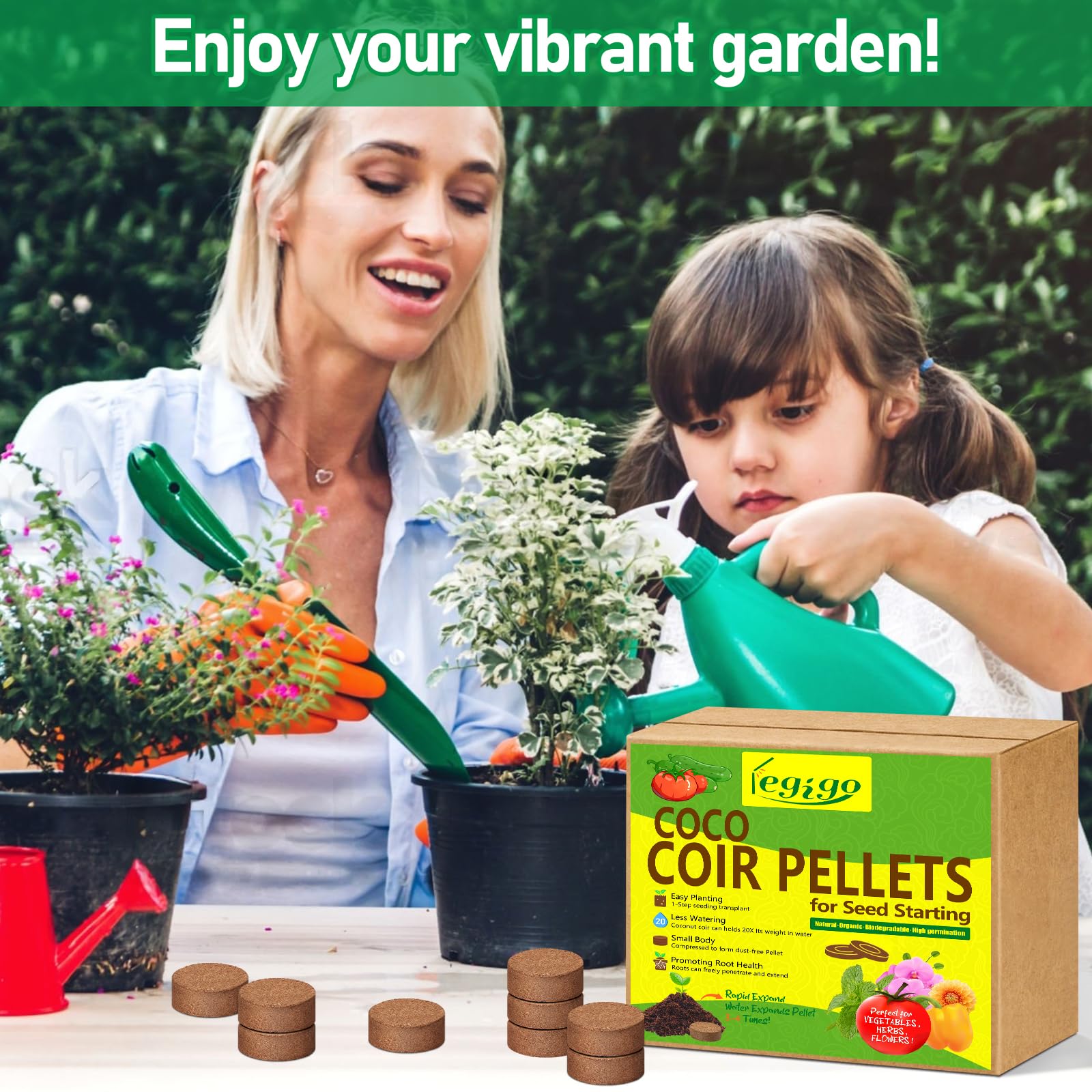 Legigo pellets usados en terrario como lecho limpio y reutilizable