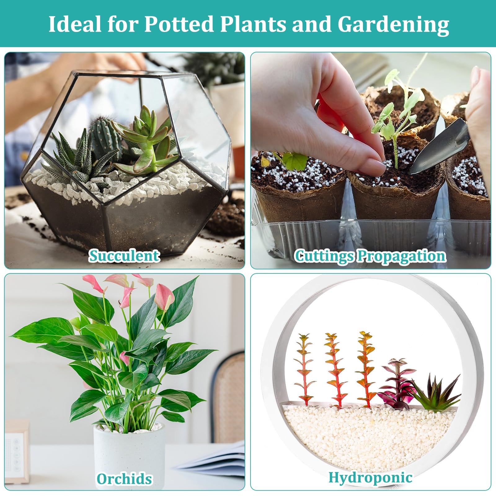 Legigo perlita empleada en terrario decorativo para mejorar aireación