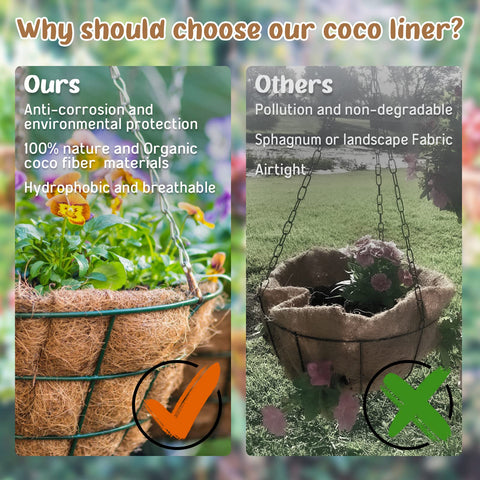 Legigo cesta con planta instalada mostrando retención de humedad y belleza