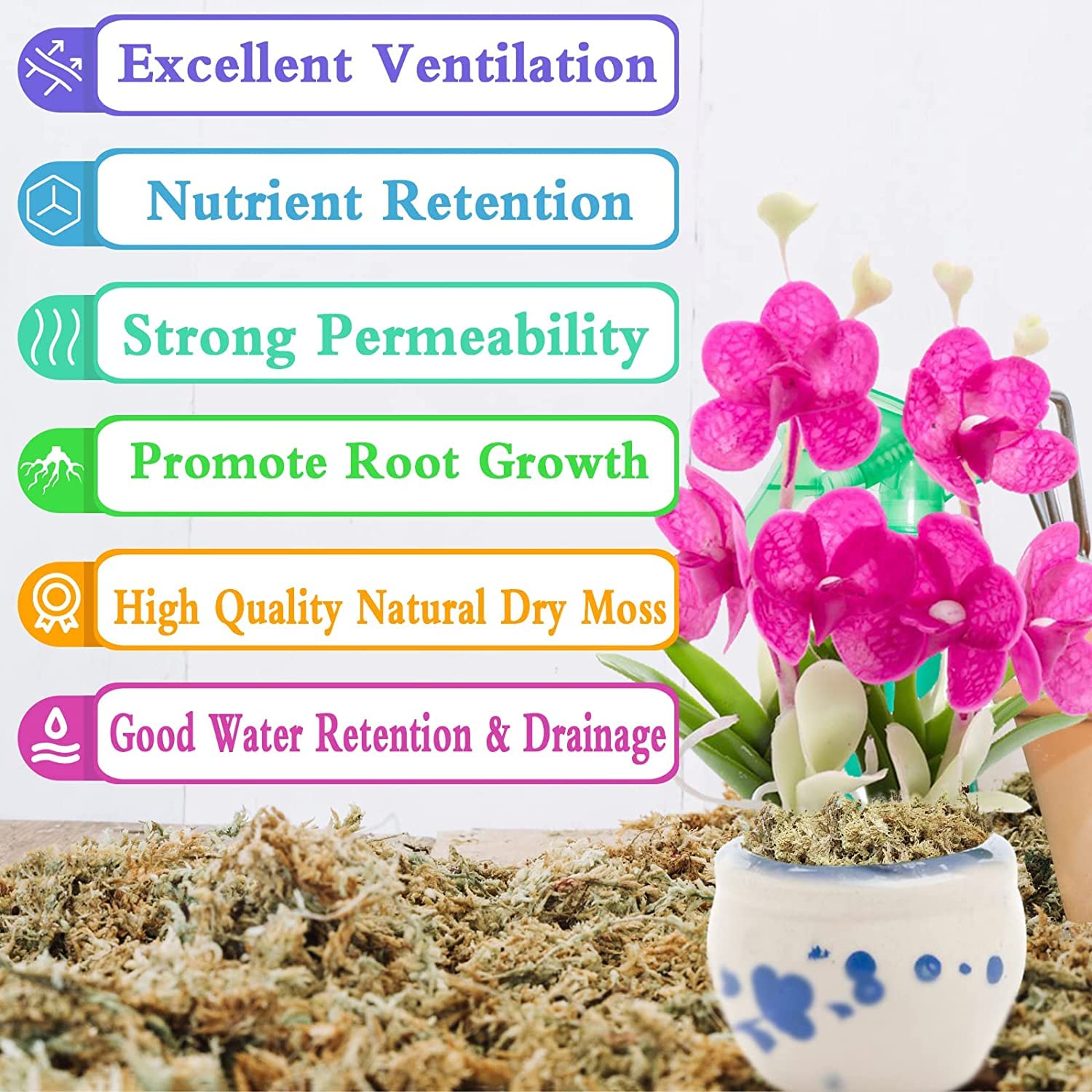 Legigo musgo en maceta de orquídea favoreciendo enraizamiento y ventilación